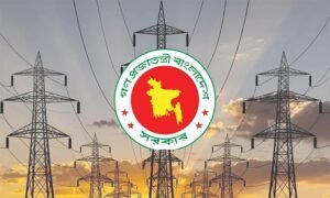 বিদ্যুৎ বিভাগের অভিন্ন চাকরিবিধি সংশোধনে ১০ সদস্যের উচ্চপর্যায়ের কমিটি গঠন
