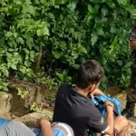 শেরপুরের নালিতাবাড়ী সীমান্তে অবৈধভাবে ভারত থেকে ফেরার সময় ১২ বাংলাদেশি আটক