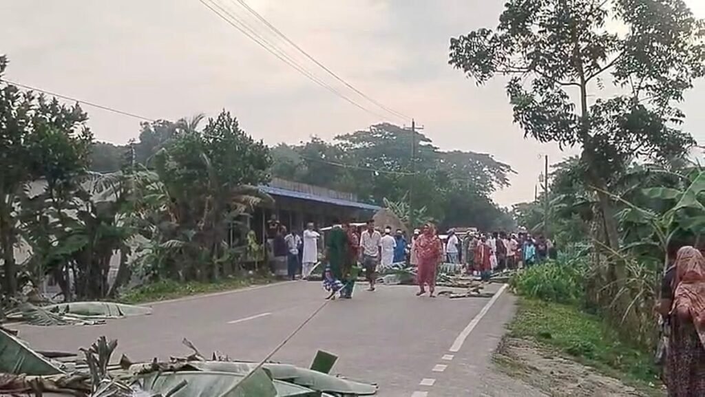 ময়মনসিংহে সড়কে কলাগাছ ফেলে যান চলাচল বন্ধ, ছুরি হাতে যুবকের তাণ্ডব