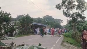 ময়মনসিংহে সড়কে কলাগাছ ফেলে যান চলাচল বন্ধ, ছুরি হাতে যুবকের তাণ্ডব