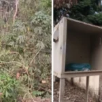 কাপ্তাই জাতীয় উদ্যানে অকার্যকর সোলার ফেন্সি: বাড়ছে হাতি-মানুষের সংঘাত
