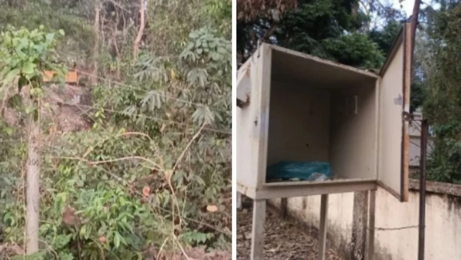 কাপ্তাই জাতীয় উদ্যানে অকার্যকর সোলার ফেন্সি: বাড়ছে হাতি-মানুষের সংঘাত