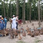 ফুলবাড়ীয়ায় সন্তোষপুর ইকোপার্ক স্থাপনের সরকারি সিদ্ধান্তে এলাকাবাসীর মধ্যে ব্যাপক উৎসাহ