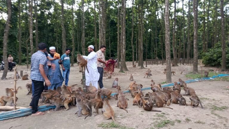 ফুলবাড়ীয়ায় সন্তোষপুর ইকোপার্ক স্থাপনের সরকারি সিদ্ধান্তে এলাকাবাসীর মধ্যে ব্যাপক উৎসাহ