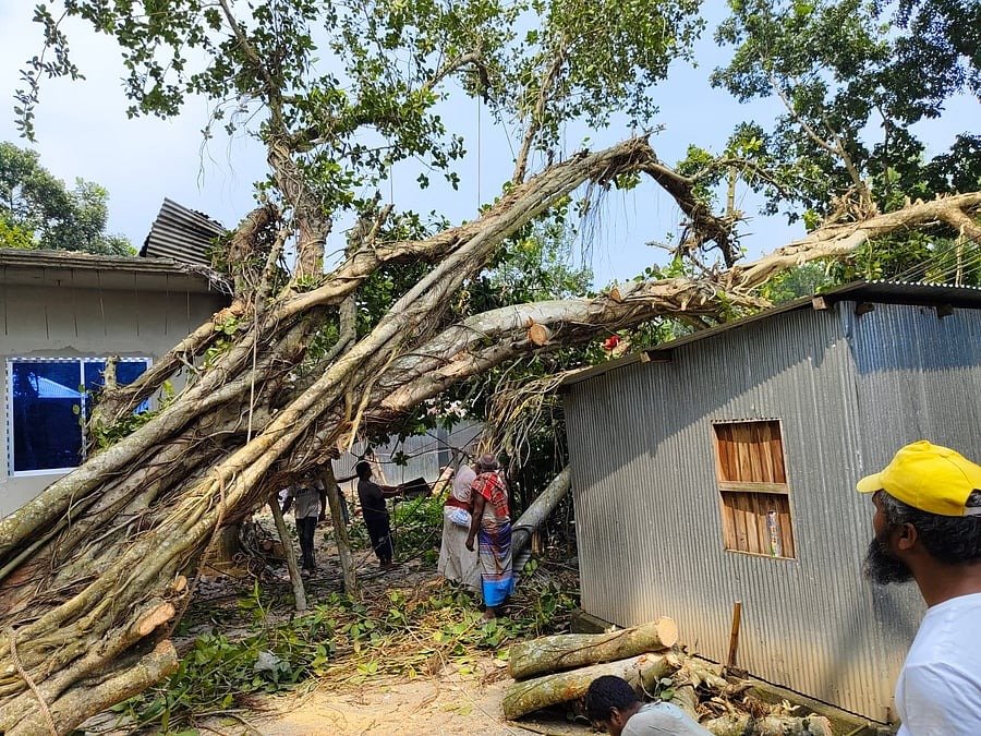 কুষ্টিয়ায় গাছ উপড়ে বসতবাড়ি ধ্বংস