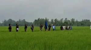 ধানমণ্ডি স্পোর্টস ক্লাব দখলের অভিযোগ, প্রিমিয়ার লিগ নিয়ে শঙ্কায় ক্রিকেটাররা