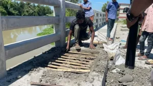 টাঙ্গাইলে ১০ কোটির ব্রিজ নির্মাণে রডের বদলে বাঁশ