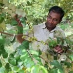রাখাল থেকে কোটিপতি: সখীপুরের মোসলেমের সফলতার গল্প এখন কৃষকদের অনুপ্রেরণা