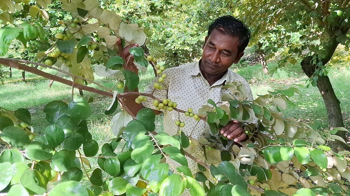 রাখাল থেকে কোটিপতি: সখীপুরের মোসলেমের সফলতার গল্প এখন কৃষকদের অনুপ্রেরণা