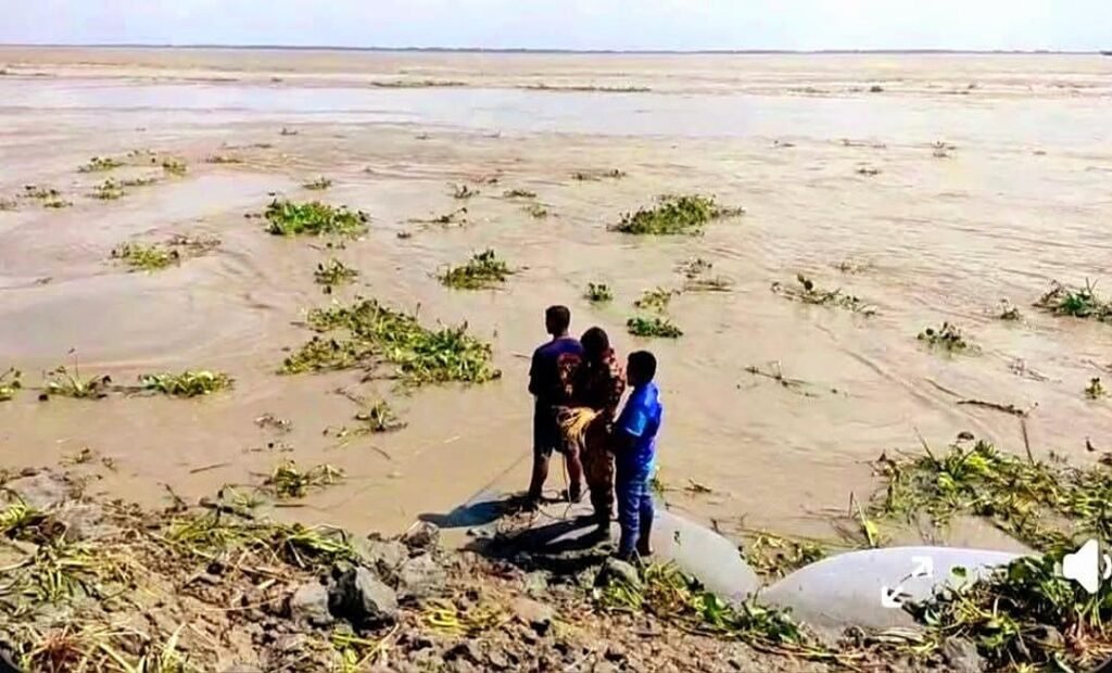 ভোলায় মেঘনার তীর ধসে বিজিবি সদস্যসহ নিখোঁজ দুই বন্ধু