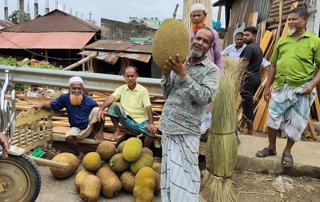 মৌসুম শেষে কাঁঠালের আকাশচুম্বী দাম, একটির দামই ১ হাজার টাকা