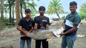 বাগেরহাটে জেলের জালে ধরা পড়ল ২০ কেজির বিশাল কোরাল