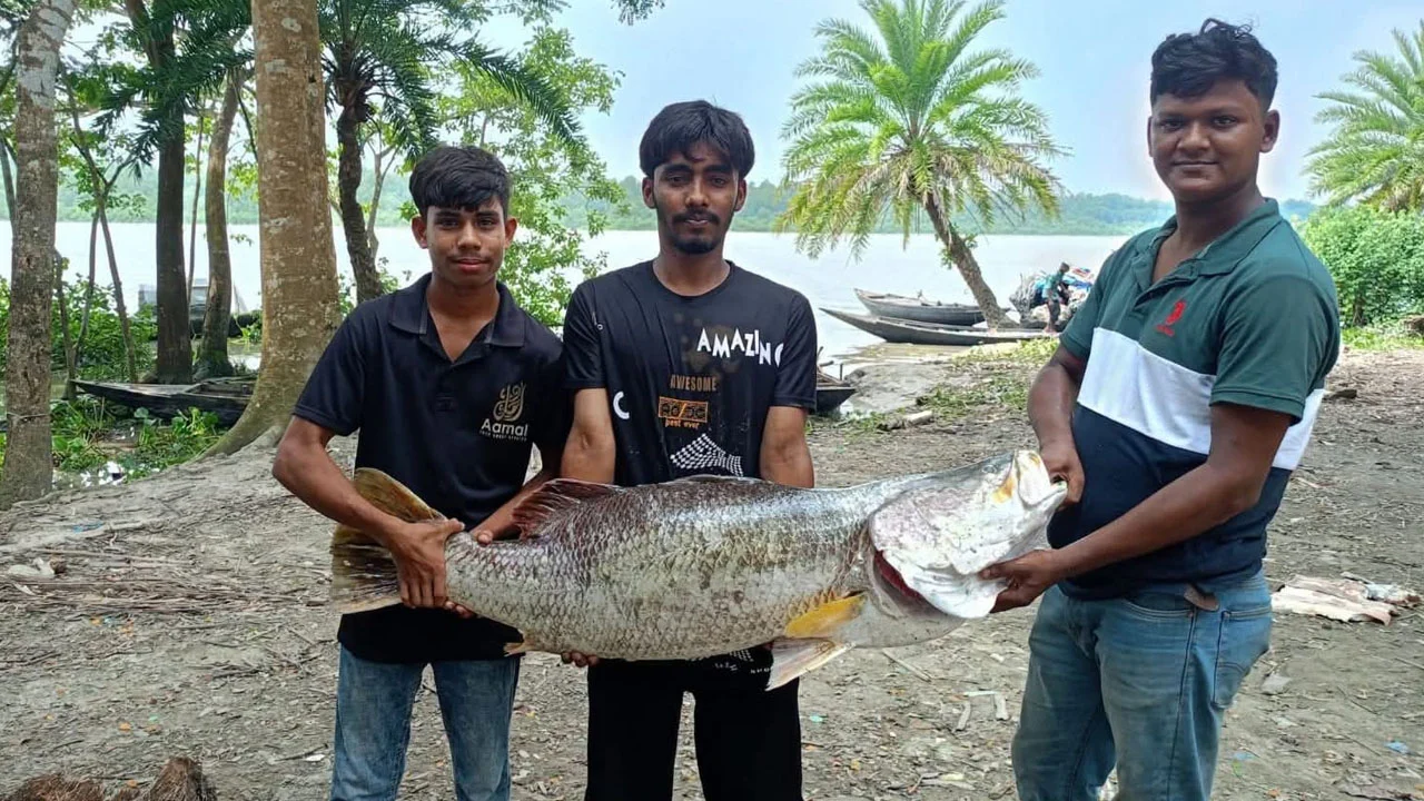 বাগেরহাটে জেলের জালে ধরা পড়ল ২০ কেজির বিশাল কোরাল