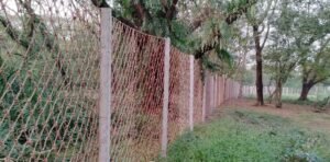সুন্দরবনে বাঘ-মানুষের সংঘাত রোধে ৭৪ কিমি নাইলনের বেড়া