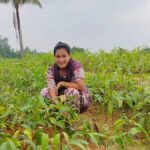আমের চারা বিক্রি করে বছরে ২০ লাখ টাকা আয়