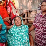 ঝিনাইদহে পারিবারিক বিরোধে পৃথক ঘটনায় প্রাণ গেল দুই ভাইয়ের