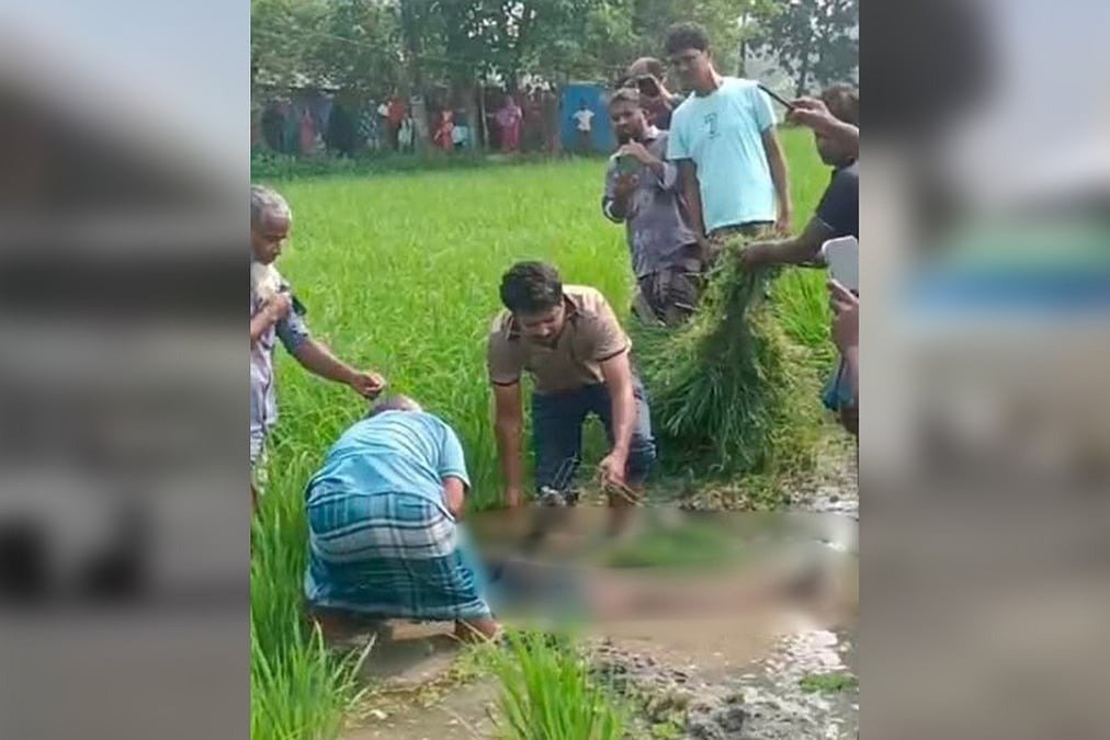 নোয়াখালীতে বিদ্যুৎস্পৃষ্ট হয়ে কৃষকের মৃত্যু