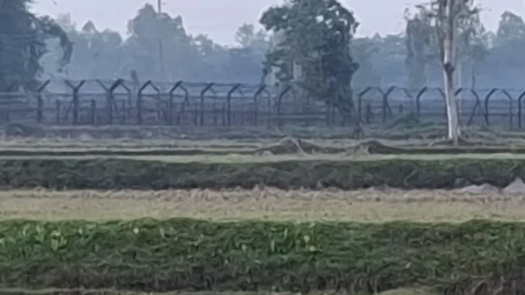 লালমনিরহাট সীমান্তে বিএসএফের পুশইন চেষ্টা ব্যর্থ করল বিজিবি