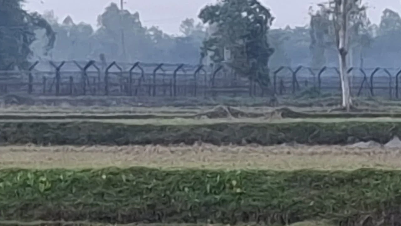 লালমনিরহাট সীমান্তে বিএসএফের পুশইন চেষ্টা ব্যর্থ করল বিজিবি
