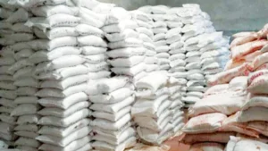 বগুড়ায় সার ডিলার নিয়োগে স্থবিরতা, অপেক্ষায় ১১ উপজেলা