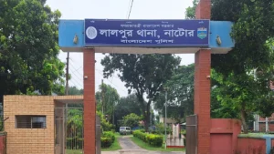 নাটোরে খালার বাড়িতে বেড়াতে গিয়ে পদ্মা নদীতে ডুবে শিশুর